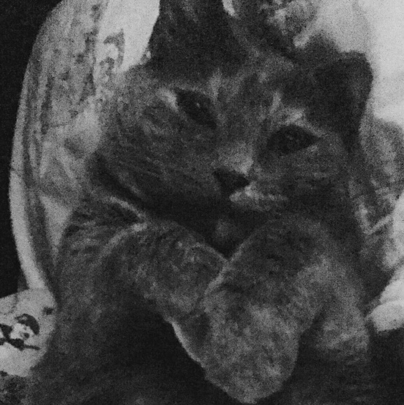 Take a peep..👀.. a good time will be had by all! - Picture 4 of 4